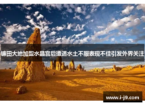 镰田大地加盟水晶宫后遭遇水土不服表现不佳引发外界关注